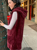 wine fur hoodie for fall in our boutique aunt lillie bells